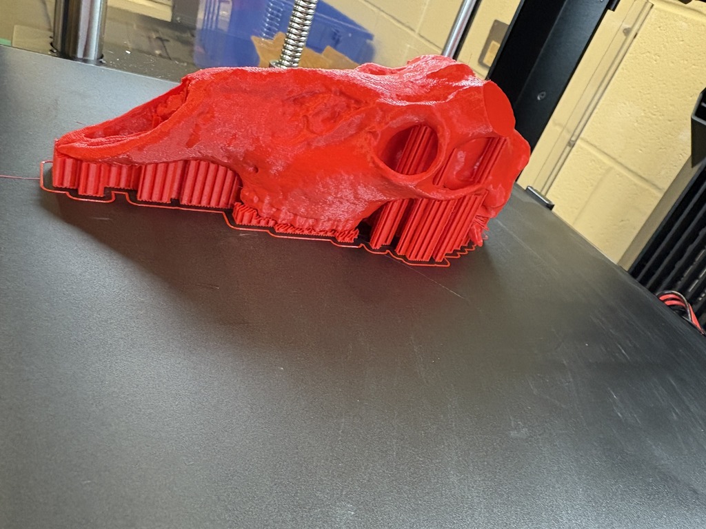 CTAE 3D Print