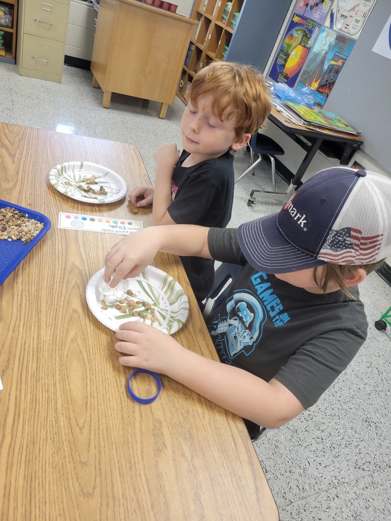 Students making rock shields.