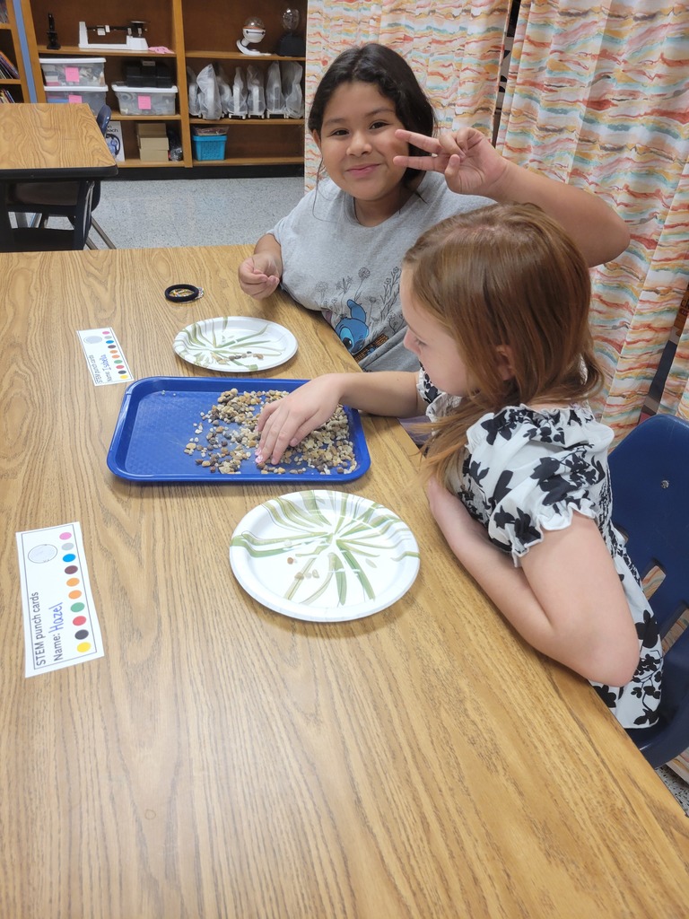 Students making rock shields.