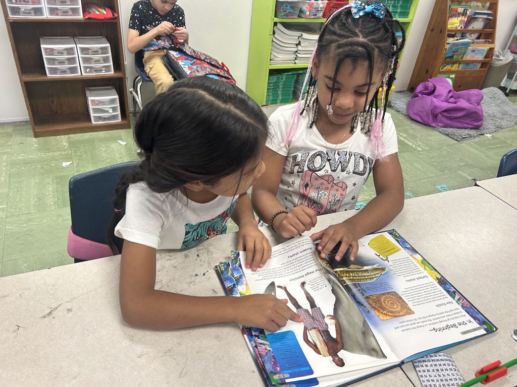 Text Feature Scavenger Hunt