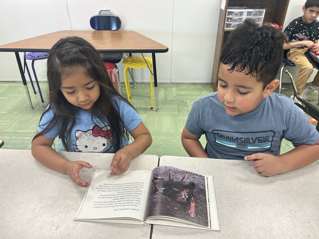 Text Feature Scavenger Hunt