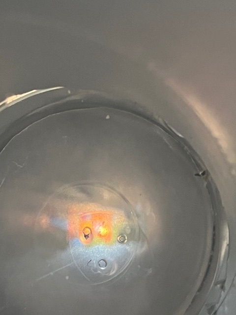 science fun