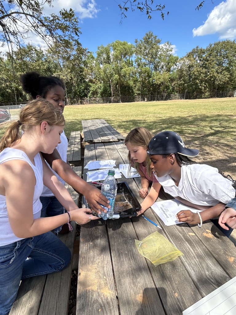 Students investigating deposition and erosion.