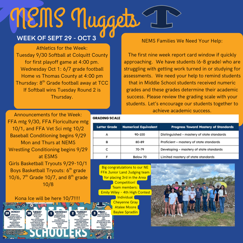 NEMS Nuggets TEMPLATE