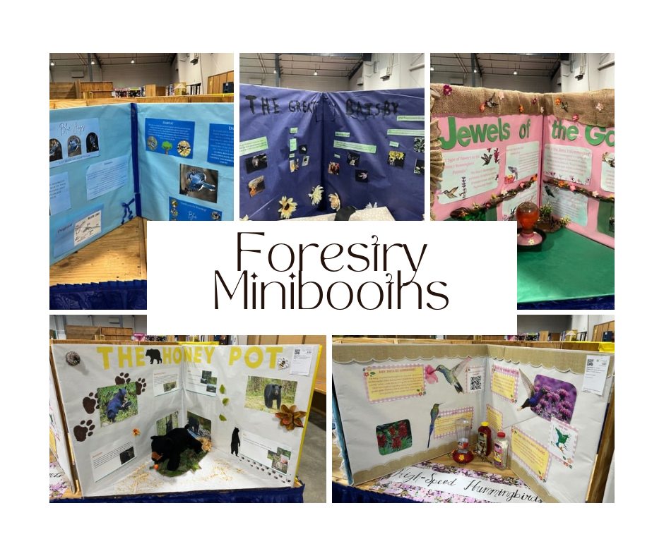 FFA Georgia National Fair Mini Booth (5)