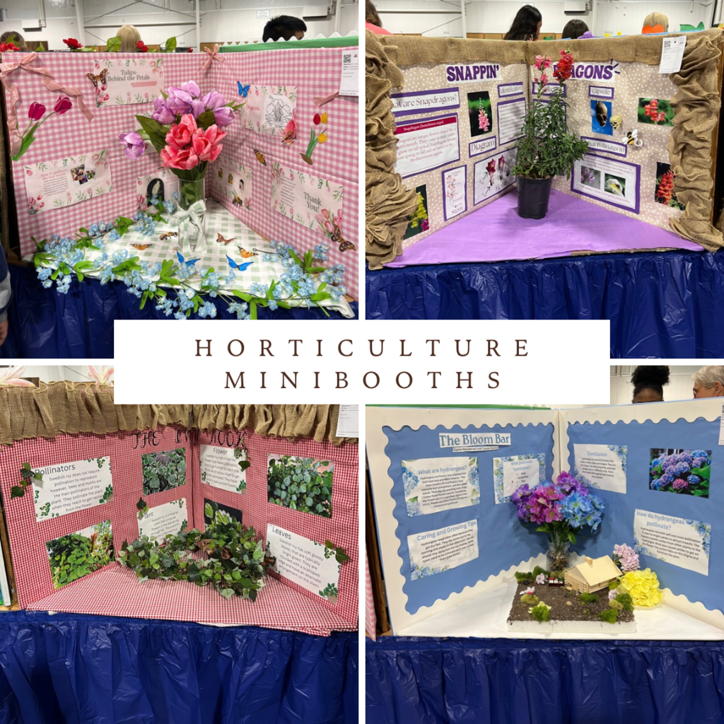 FFA Georgia National Fair Mini Booth (7)