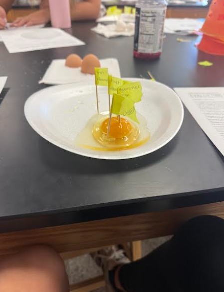 Poultry Industry unit 3