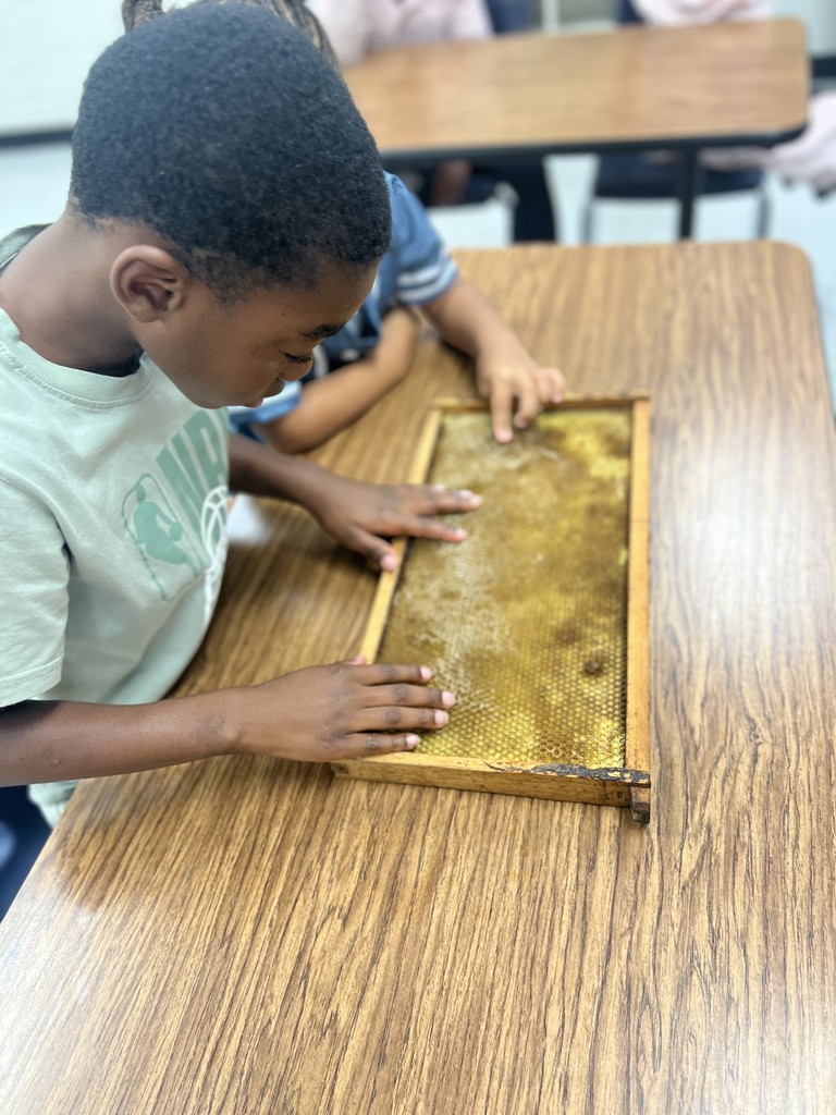 Honey Bee Presentation
