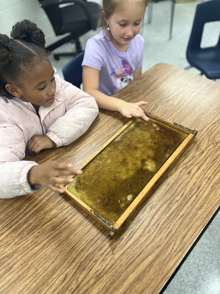 Honey Bee Presentation