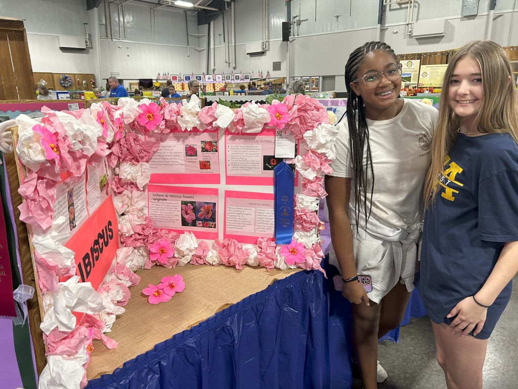 NEMS PERRY FAIR 2025