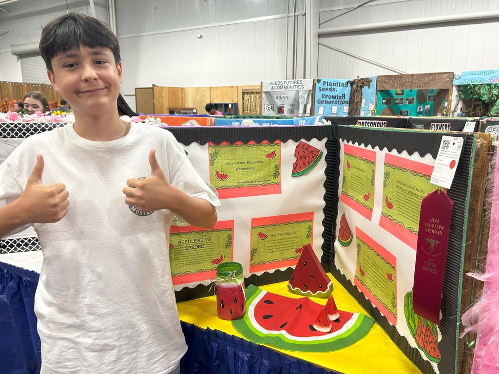 NEMS PERRY FAIR 2025