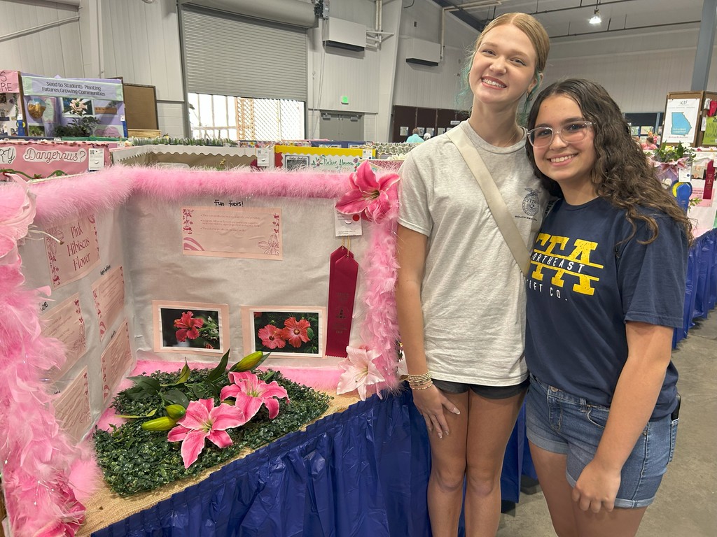 NEMS PERRY FAIR 2025