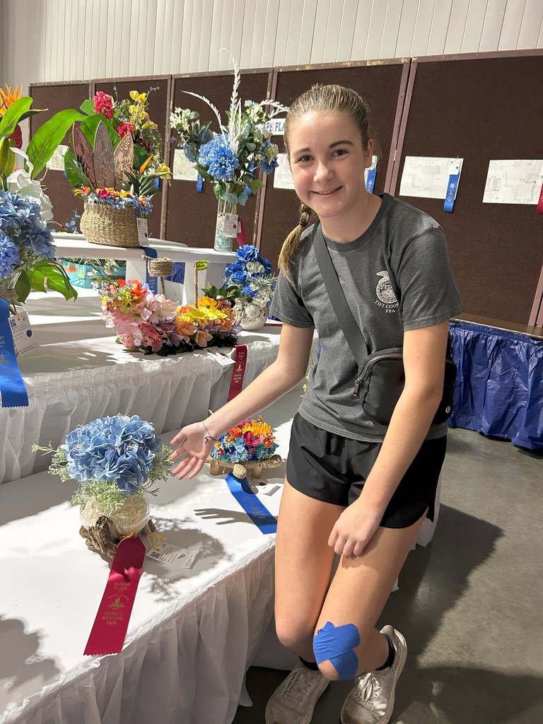 NEMS PERRY FAIR 2025