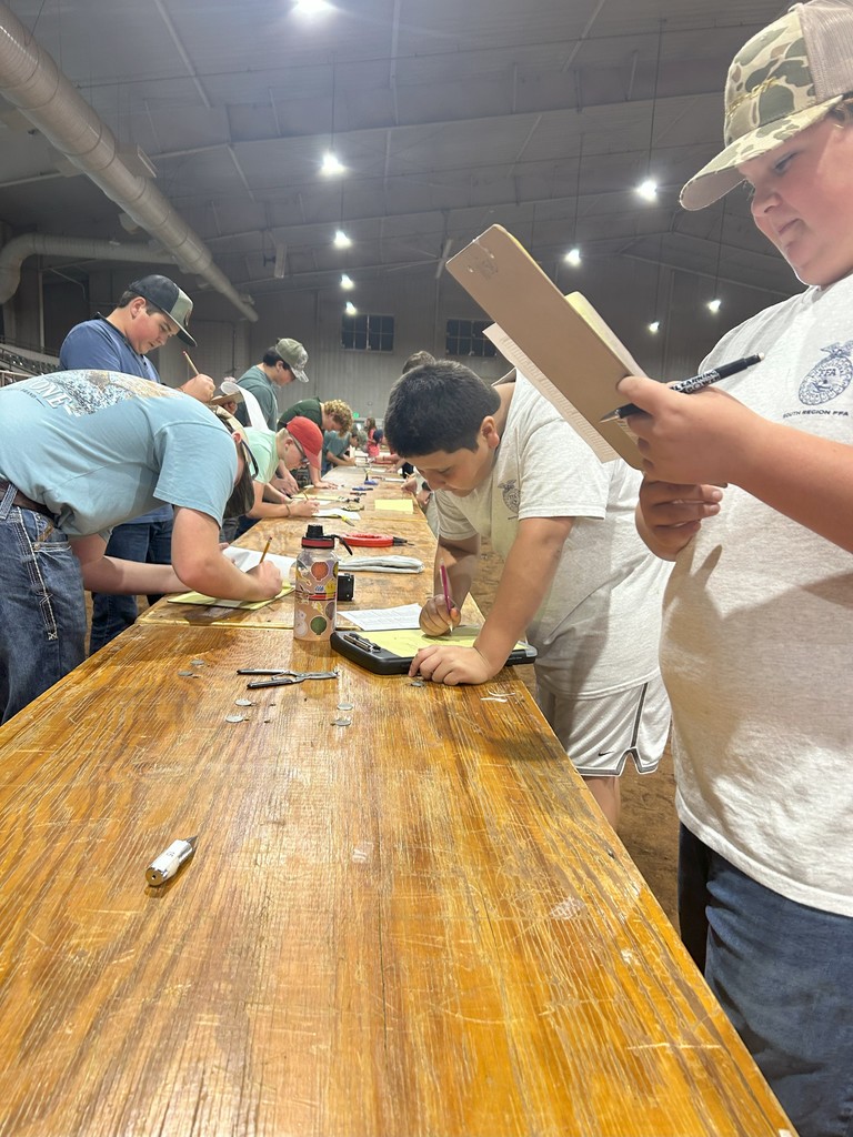 NEMS FFA PERRY FAIR 2025