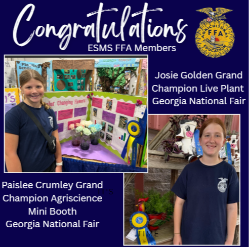 Grand Champion Fair Projects
