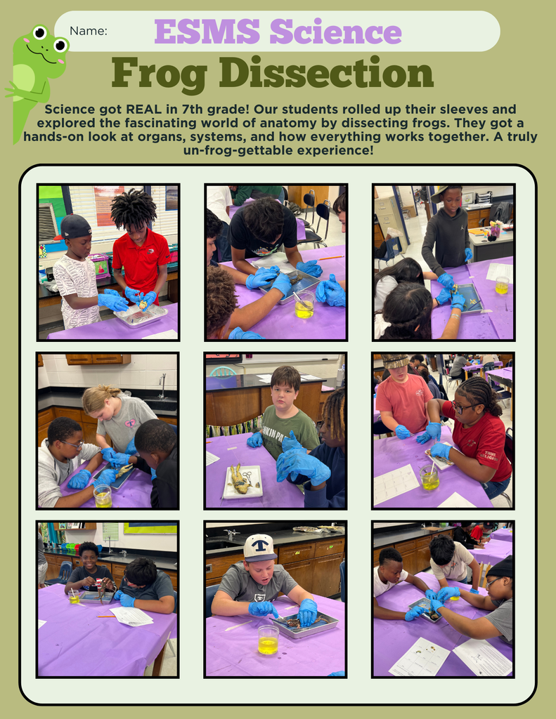 Science Frog Dissection