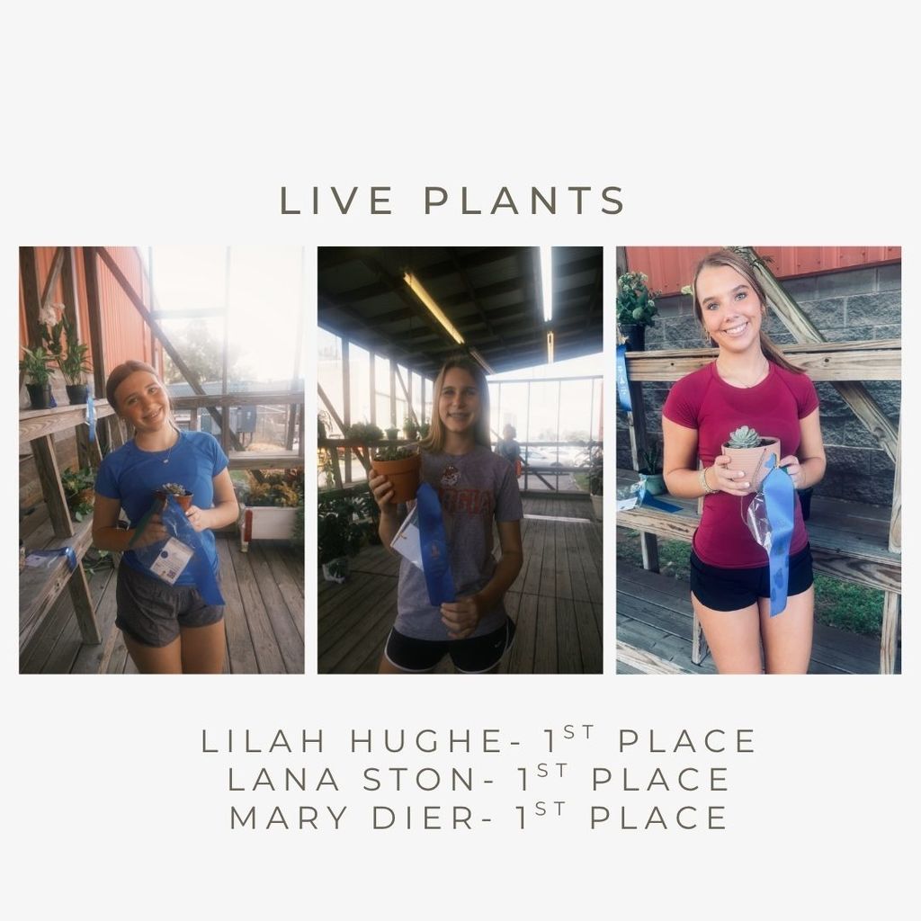 live plants