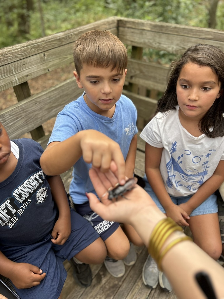Students learn about animal science.