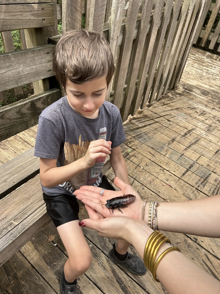 Students learn about animal science.