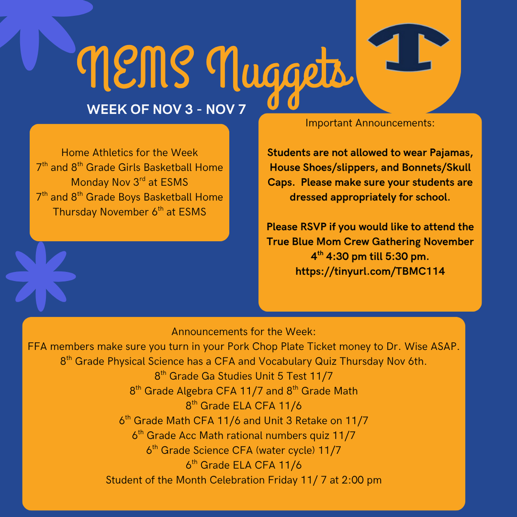 NEMS Nuggets TEMPLATE (Instagram Post)