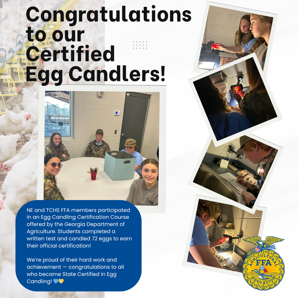 NEMS AG CERTIFIED EGG CANDLERS