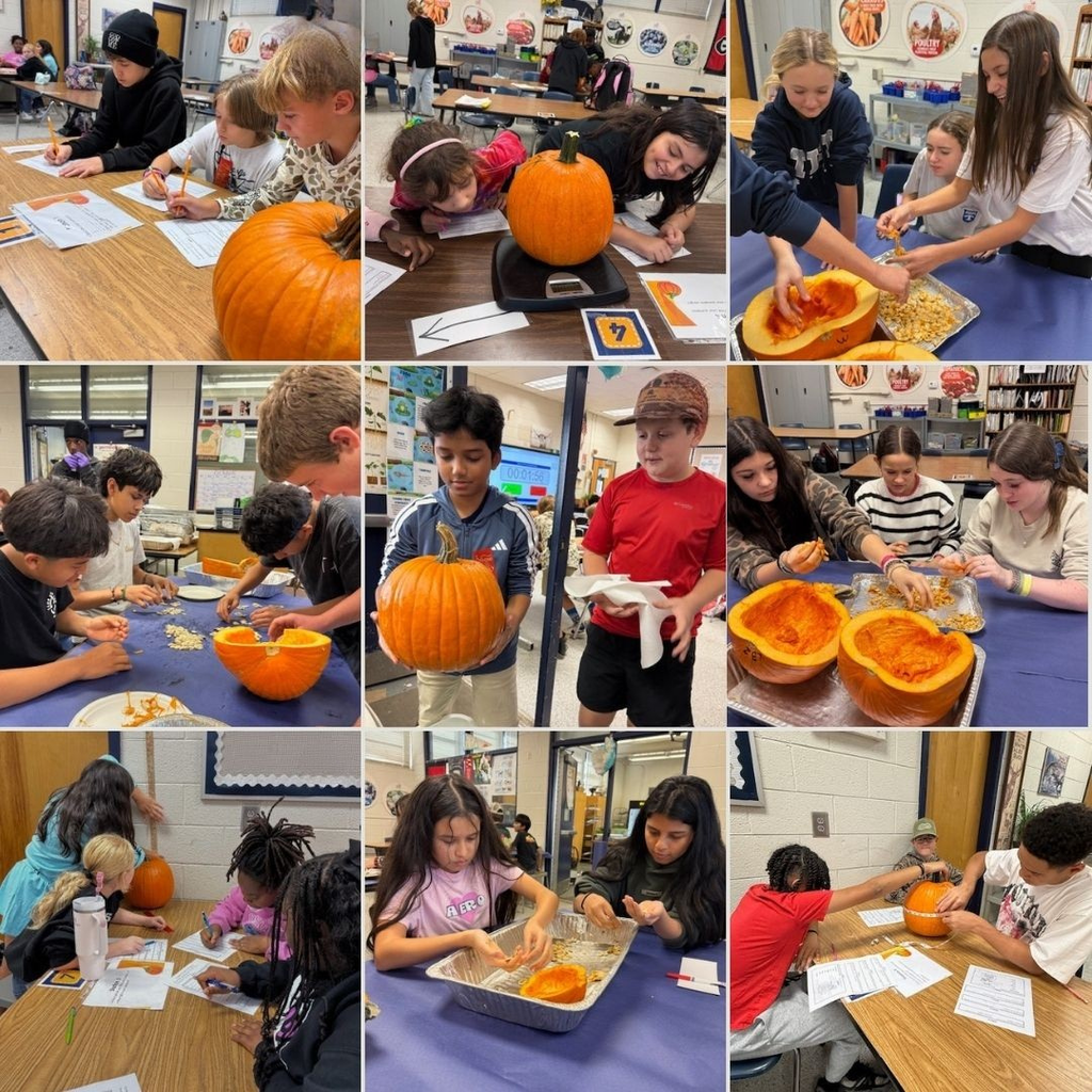 Pumpkin Lab
