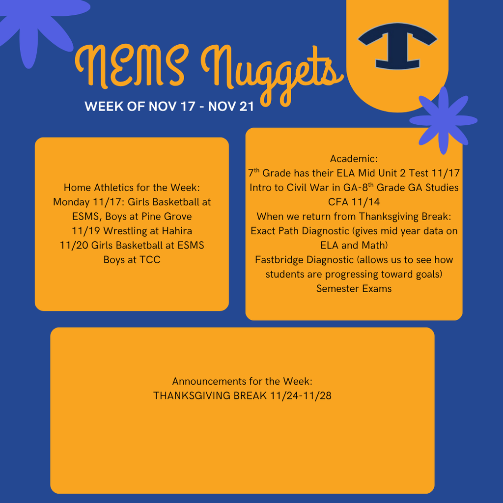 NEMS Nuggets TEMPLATE (Instagram Post) (8)