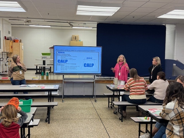 Professional Learning