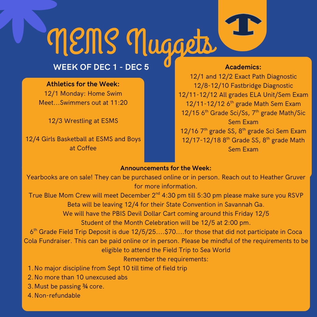 NEMS Nuggets TEMPLATE (Instagram Post) (9)