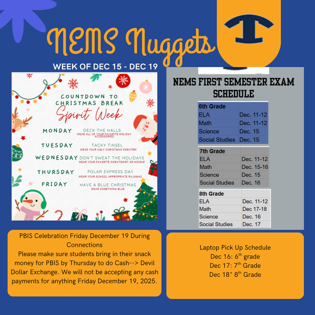 NEMS Nuggets TEMPLATE (Instagram Post) (1)