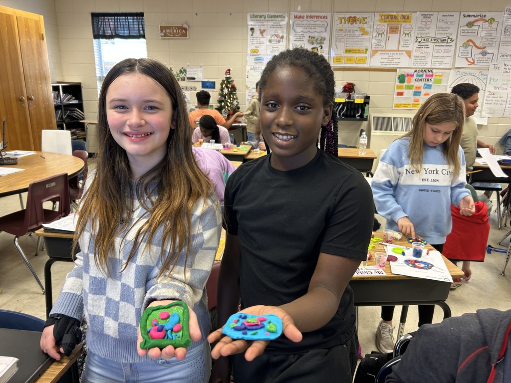 Mrs. Bennett's 5th grade class cell models.