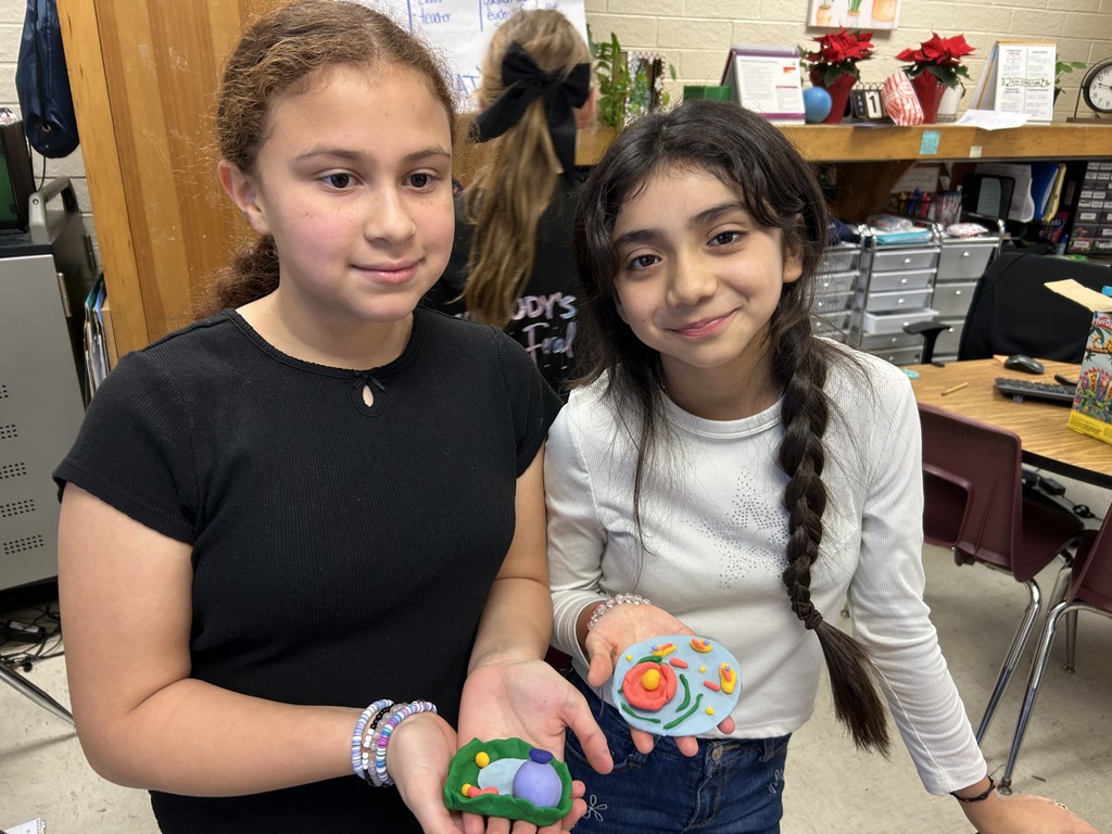 Mrs. Bennett's 5th grade class cell models.