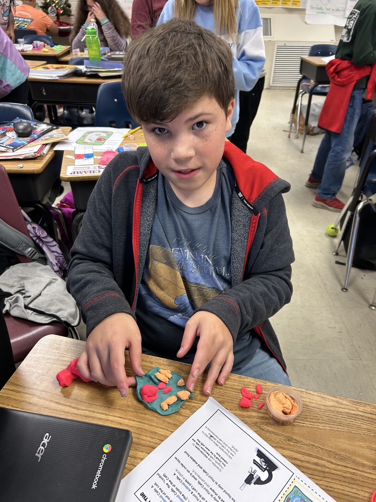 Mrs. Bennett's 5th grade class cell models.