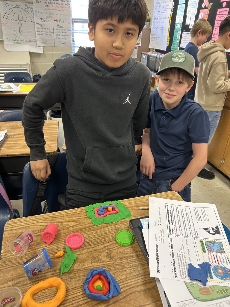 Mrs. Bennett's 5th grade class cell models.