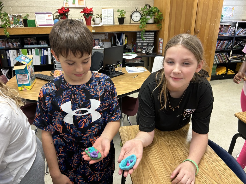 Mrs. Bennett's 5th grade class cell models.