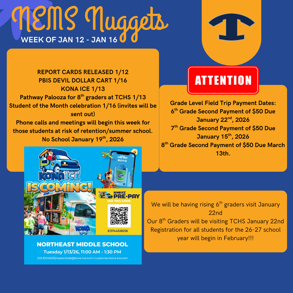 NEMS Nuggets TEMPLATE  (Instagram Post) (13)