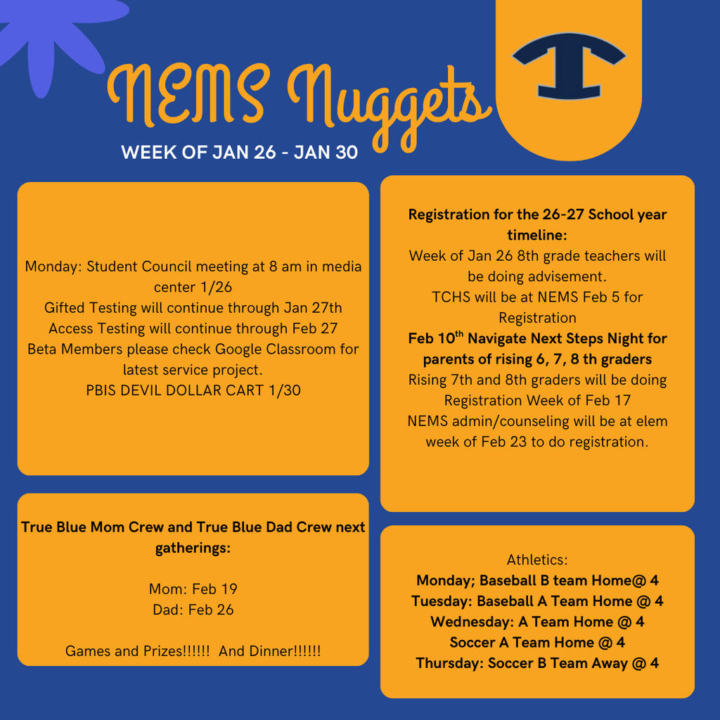 NEMS Nuggets TEMPLATE (Instagram Post) (17)