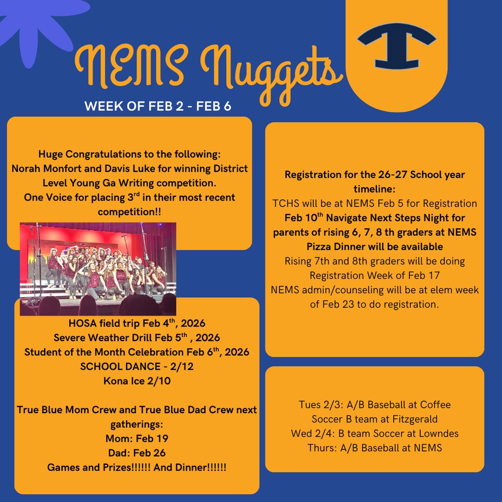 NEMS Nuggets TEMPLATE (Instagram Post) (18)