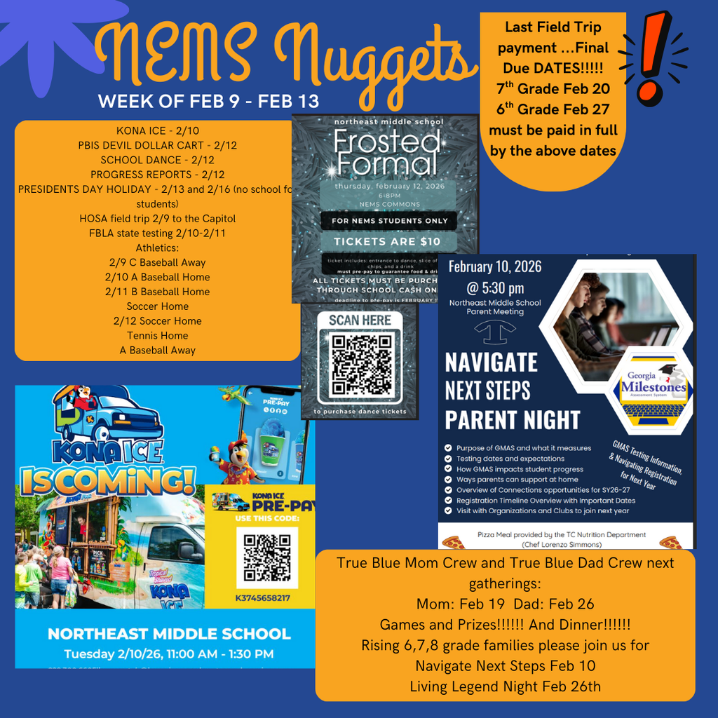 NEMS Nuggets TEMPLATE (Instagram Post) (19)