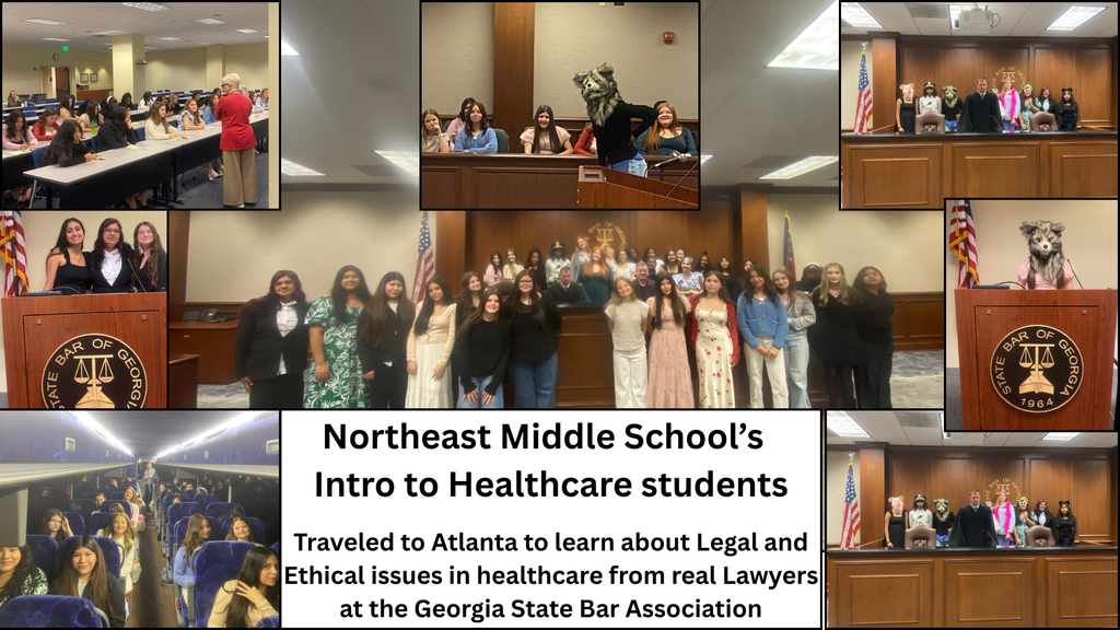 NEMS Intro to Healthcare