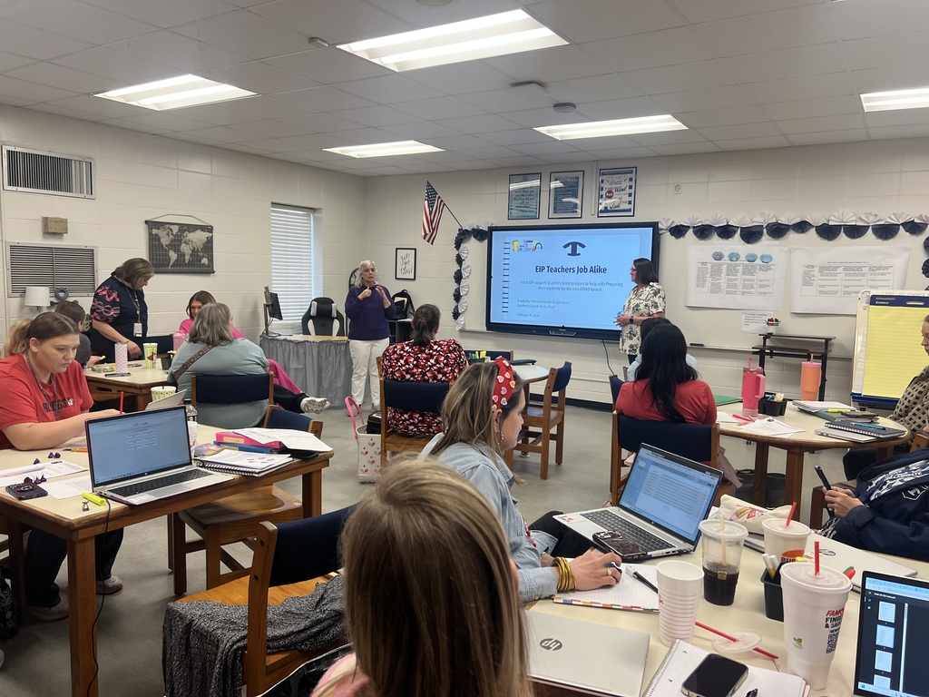 PROFESSIONAL LEARNING