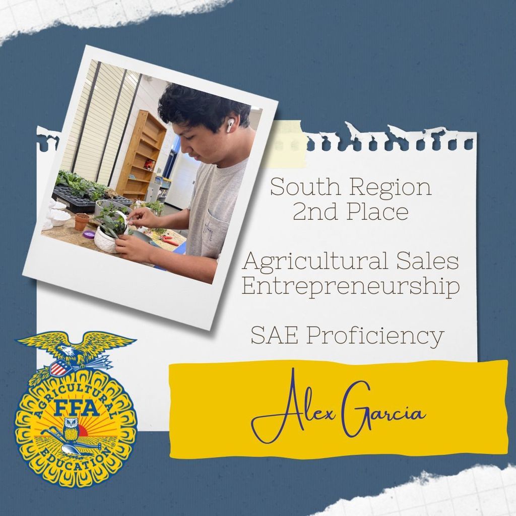 South Region Proficiency Awards for SAEs! 🌟