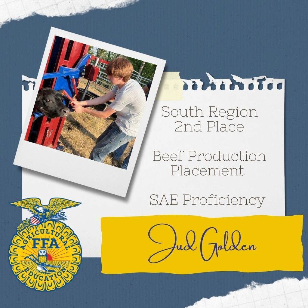South Region Proficiency Awards for SAEs! 🌟