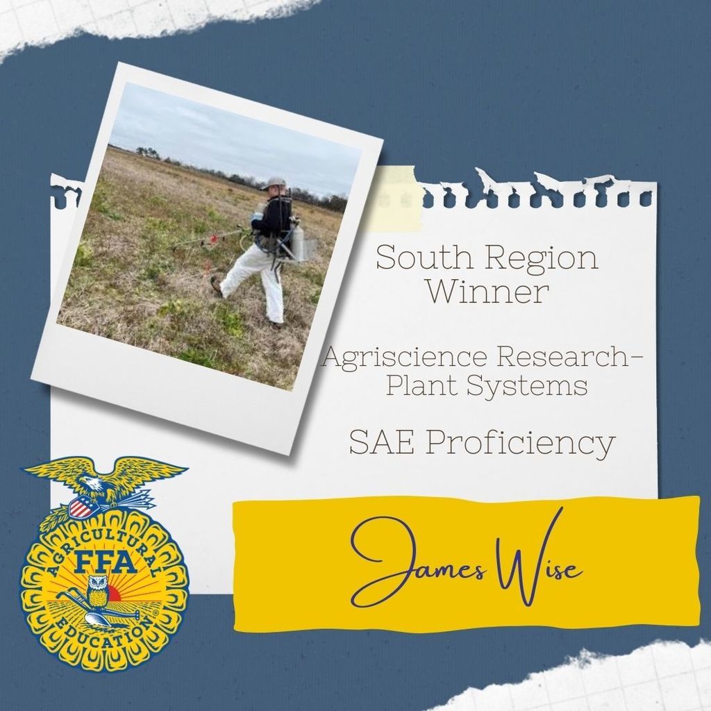 South Region Proficiency Awards for SAEs! 🌟