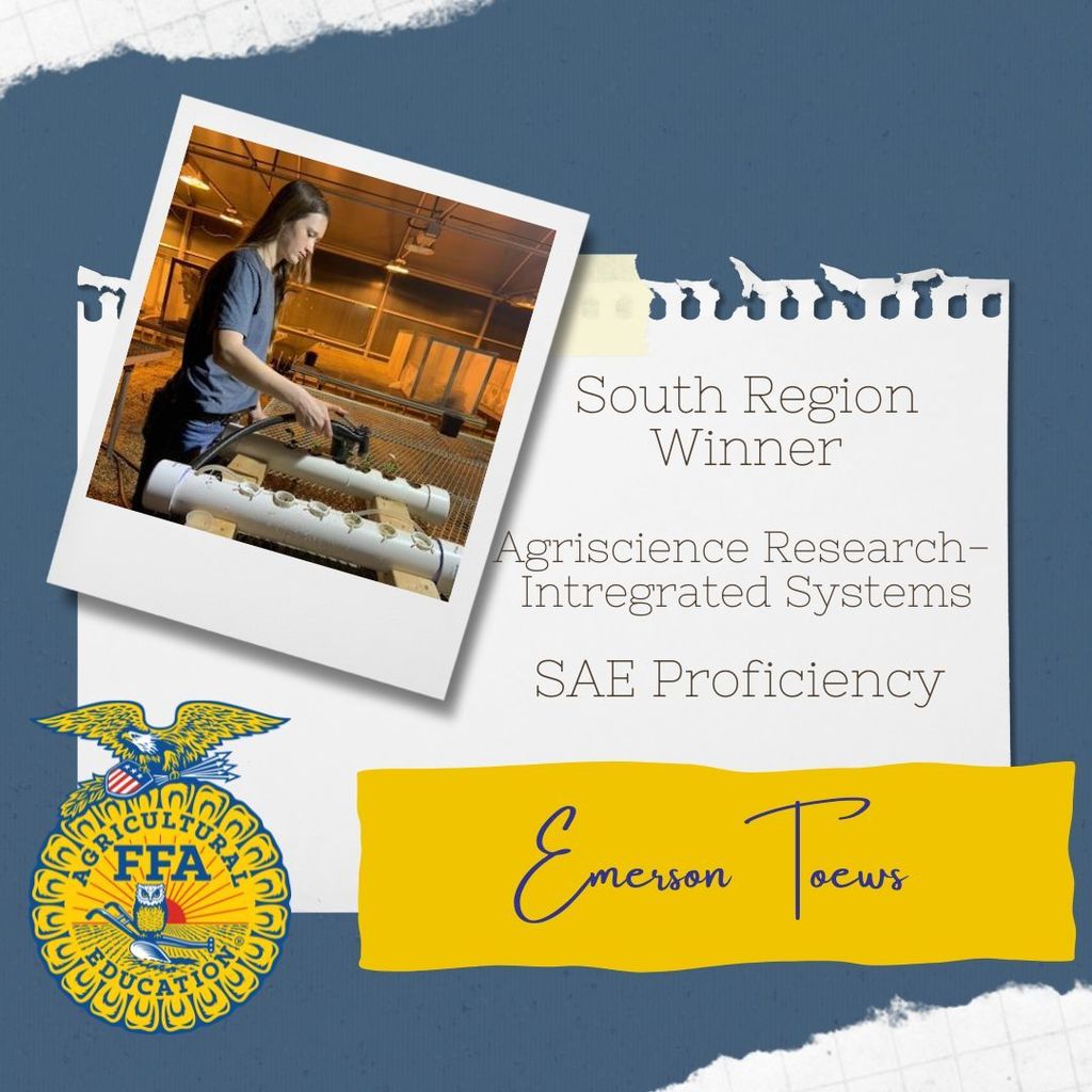 South Region Proficiency Awards for SAEs! 🌟