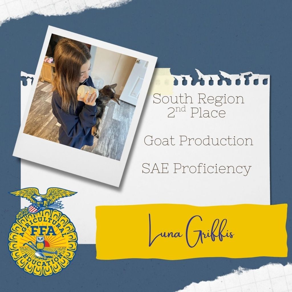 South Region Proficiency Awards for SAEs! 🌟