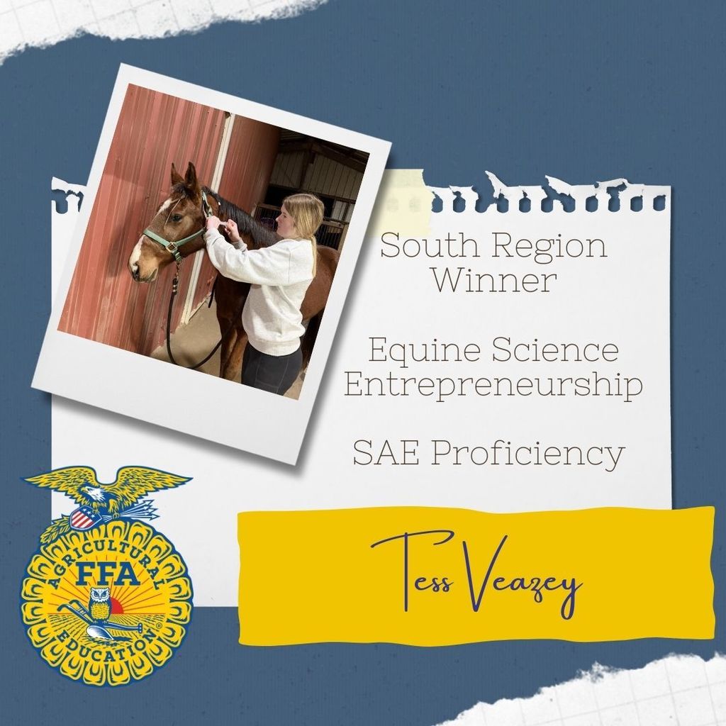 South Region Proficiency Awards for SAEs! 🌟