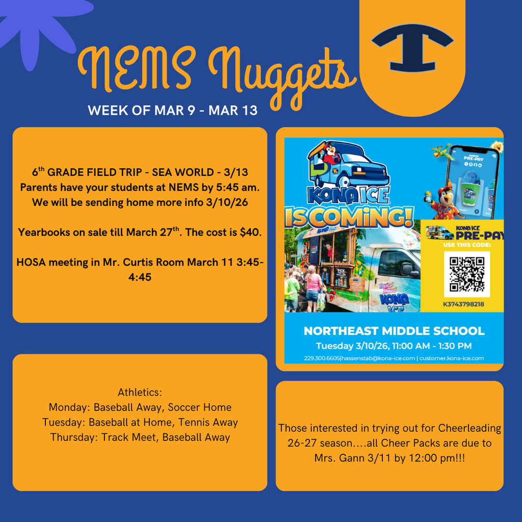 NEMS Nuggets TEMPLATE  (Instagram Post) (23)