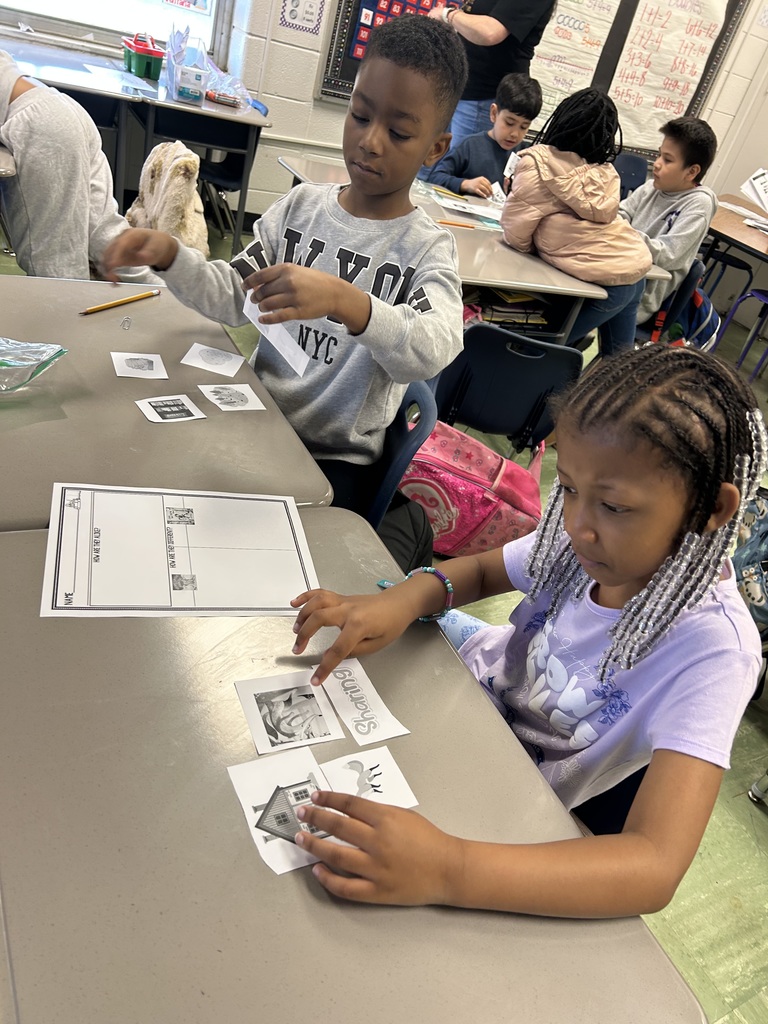 COMPARE AND CONTRAST 