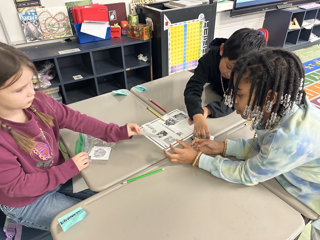 COMPARE AND CONTRAST 